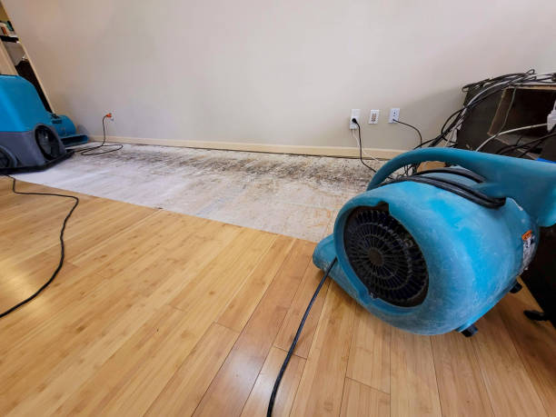 Professional Water Extraction technician working in Bylas, AZ